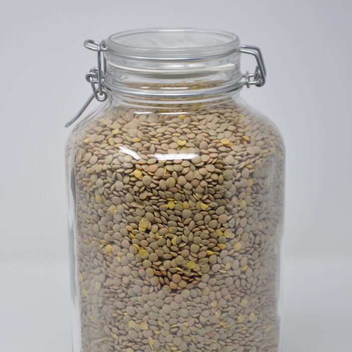 Lentilles Vertes Bio