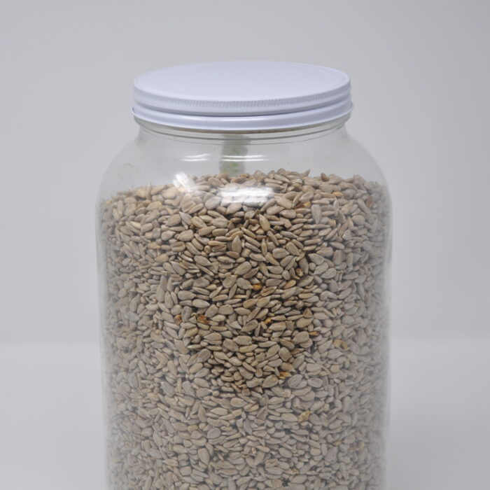 Graines de Tournesol Bio