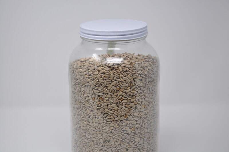 Graines de Tournesol Bio