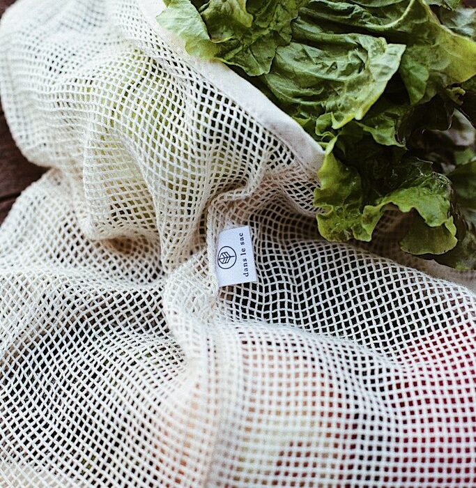 Dans Le Sac Compagnon Mesh