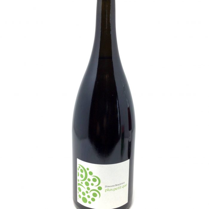 Plus petit que 2019 – Domaine Bergeville – Magnum
